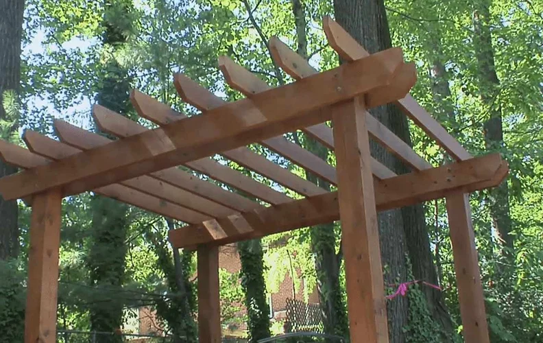 Cedar pergola rafters and beams against surrounding trees